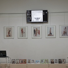 Glimpses of the 'Pin-up Girls!' Exhibition
